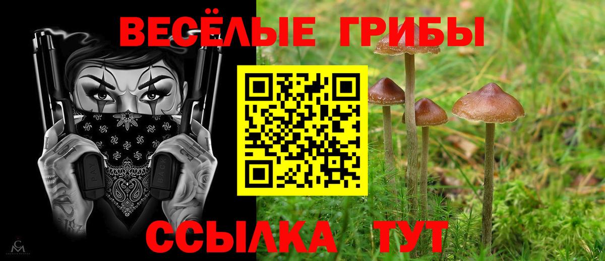 Псилоцибиновые грибы GOLDEN TEACHER  Вход с VPN  Псилоцибиновые грибы MAGIC MUSHROOMS  Сланцы 